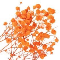 gjenstander Tørkede blomsterbuketter med babypust Gypsophila 75 cm 100 g