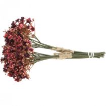 gjenstander Gypsophila kunstige røde kunstige blomster høst 29,5cm 18stk