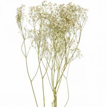 Tørket Gypsophila, Dry Floristics, Gypsophila White L64cm 20g