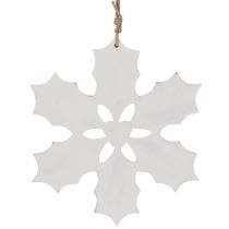 gjenstander Kristtorn-pynt, juledekorasjon til oppheng, 26 cm
