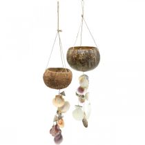 Kokosbolle med skall, naturlig planteskål, kokosnøtt som hengende kurv Ø13,5/11,5cm, sett med 2 stk.