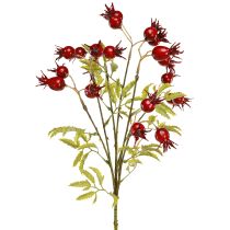 gjenstander Kunstige dekorative grener av nyper med 7 frukter mørkerøde 48 cm
