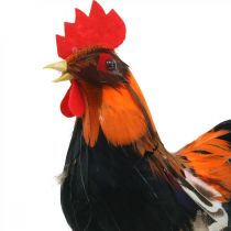 Dekorativ hane med fjær Oransje dekorativ figur påske vårpynt 24cm