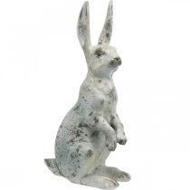 Dekorativ kanin til påske, vårdekorasjon i betonglook, hagefigur med gullaksenter, shabby chic H42cm