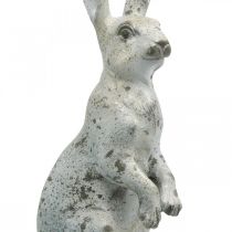 Dekorativ kanin til påske, vårdekorasjon i betonglook, hagefigur med gullaksenter, shabby chic H42cm
