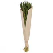 gjenstander Kaninhalegress (Lagurus) Tørket dekorativt grønt 50-60 cm 50 g tørkede blomster