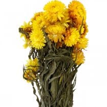 Halmblomst gul tørkede tørkede blomster dekorasjonsbunke 75g