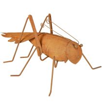 gjenstander Gresshopper Hagedekor Rust Metalldekor for stående 26cm