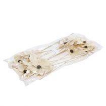 gjenstander Treblomst som plugg, bleket Ø9-12cm L45cm 15 stk.