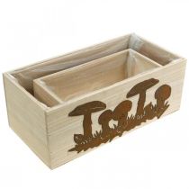 gjenstander Plantekassesett, trebokser med sopp, høstdekorasjon patina L40/30cm sett med 2 stk.