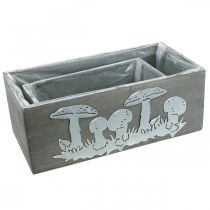 gjenstander Trekassesett paddestol, høstdekorasjoner, hagedekorasjoner, plantebokser L40 / 30cm, sett med 2