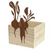 Plantekassetre med rustdekor grønnsakscachepotte 17×17×12cm
