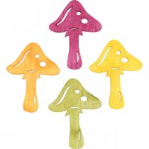 Spredt sopp, høstpynt, heldige sopp for å dekorere oransje, gul, grønn, rosa H3,5 / 4cm B4 / 3cm 72stk.
