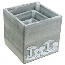 gjenstander Trebiter med sopp, høstdekorasjon, planteeske 20/16/12 cm, sett med 3