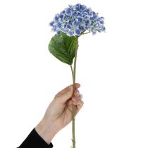 gjenstander Blomstrende hortensiagren for stilig hjemmedekorasjon, 80 cm, 2 stk.