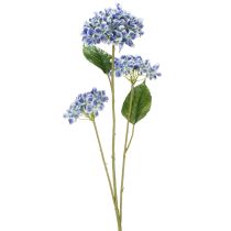 gjenstander Blomstrende hortensiagren for stilig hjemmedekorasjon, 80 cm, 2 stk.