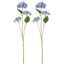 gjenstander Blomstrende hortensiagren for stilig hjemmedekorasjon, 80 cm, 2 stk.