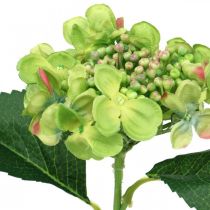 gjenstander Kunstig hortensia, blomsterdekor, silkeblomst grønn L44cm