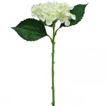 Hortensia, silkeblomst, kunstig blomst til borddekorasjoner hvit, grønn L44cm