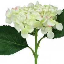 Hortensia, silkeblomst, kunstig blomst til borddekorasjoner hvit, grønn L44cm