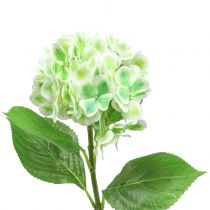 gjenstander Hortensia kunstig grønn, hvit 68cm