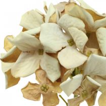 Hortensia kunstblomst brun, hvit høstdekor silkeblomst H32cm
