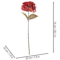 gjenstander Kunstig hortensiagren, stor blomst, 74 cm
