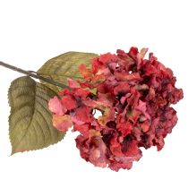 gjenstander Kunstig hortensiagren, stor blomst, 74 cm