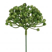 gjenstander Hortensia knopp pick 22cm grønn 12stk