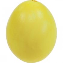 gjenstander Påskeegg Gule Blåste Egg Kyllingegg 5,5cm 10stk