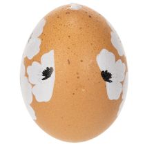 gjenstander Påskeeggdekorasjon, vår, påske, ekte kyllingegg, naturlige, 6 cm, 6 stk.