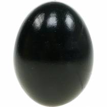 gjenstander Kyllingegg Svart påskepynt Blåste egg 10 stk