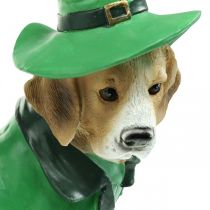Beagle i hatt St. Patrick&#39;s Day Hund i dress Hagedekor Hound H24,5cm