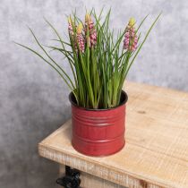 gjenstander Kunstig hyasintplante i potte, perfekt dekorasjon for hjem og kontor, 26 cm