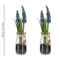 gjenstander Hyacinth kunstig Perlehyacinth blå i glass H22cm 2stk