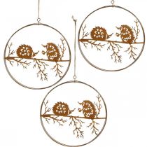 Metallpendel, pinnsvin på gren, høstdekorasjon, dekorativ ring, rustfritt stålramme Ø15,5cm 3stk