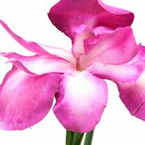 gjenstander Iris kunstig rosa 78cm