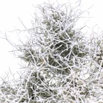 Ironbusch Pick vokset hvit 10cm 5stk