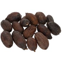 gjenstander Kakaofrukt, naturlig, 10–18 cm, 15 stk.