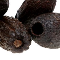 gjenstander Kakaopods naturlig 10-18cm 15stk
