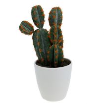 Kunstige kaktuser i potte 20cm
