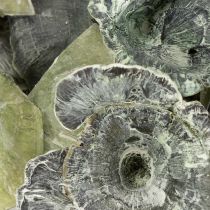 gjenstander Kalix Sopp Grønn, Hvitvasket 100 stk