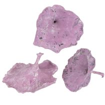 gjenstander Kalix Sopp Lilla, Hvitvasket 100 stk