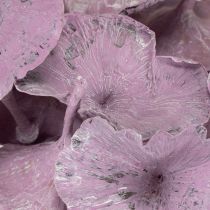 gjenstander Kalix Sopp Lilla, Hvitvasket 100 stk