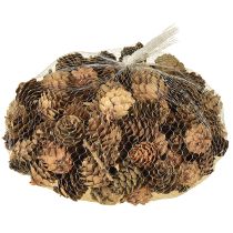 gjenstander Kongler, naturlige små kongler, dekorasjon i nett 2,5-3,5 cm 300 g