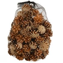 gjenstander Kongler Furu (Pinus sylvestris) H3–5 cm 1 kg