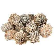 gjenstander Hvitnede kongler, små kongler dekorert i et nett, 2,5-3,5 cm, 500 g