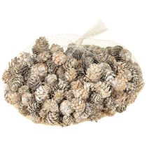 gjenstander Hvitnede kongler, små kongler dekorert i et nett, 2,5-3,5 cm, 500 g