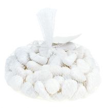 gjenstander Småstein i nettet Hvit 2,5cm - 4cm 1kg