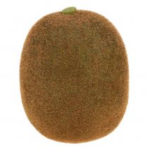 Kiwi 7,5 cm